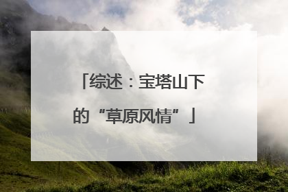 综述：宝塔山下的“草原风情”