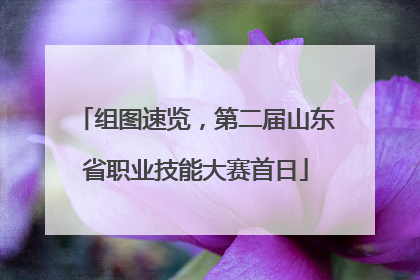 组图速览，第二届山东省职业技能大赛首日