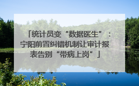 统计员变“数据医生”：宁阳前置纠错机制让审计报表告别“带病上岗”