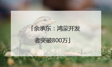余承东：鸿蒙开发者突破800万