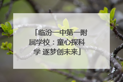 临汾一中第一附属学校：童心探科学 逐梦创未来