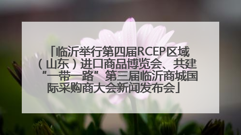 临沂举行第四届RCEP区域（山东）进口商品博览会、共建“一带一路”第三届临沂商城国际采购商大会新闻发布会