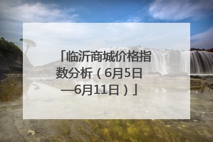 临沂商城价格指数分析（6月5日—6月11日）