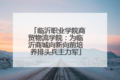 临沂职业学院商贸物流学院：为临沂商城向新向前培养排头兵主力军
