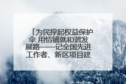 为民撑起权益保护伞 用情铺就和谐发展路——记全国先进工作者、新区项目建设中心干部卢小勇