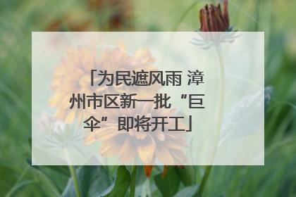 为民遮风雨 漳州市区新一批“巨伞”即将开工
