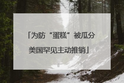 为防“蛋糕”被瓜分 美国罕见主动推销