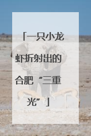 一只小龙虾折射出的合肥“三重光”