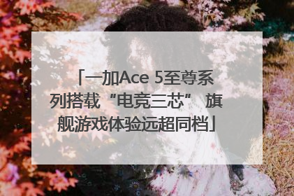 一加Ace 5至尊系列搭载“电竞三芯” 旗舰游戏体验远超同档