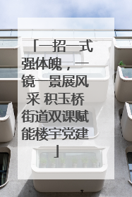 一招一式强体魄，一镜一景展风采 积玉桥街道双课赋能楼宇党建