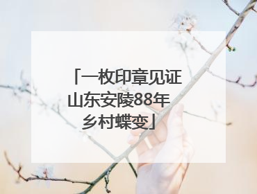 一枚印章见证山东安陵88年乡村蝶变