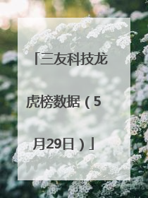 三友科技龙虎榜数据（5月29日）
