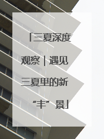 三夏深度观察｜遇见三夏里的新“丰”景