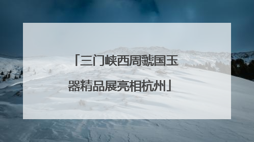 三门峡西周虢国玉器精品展亮相杭州