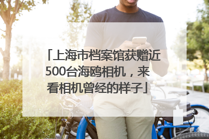 上海市档案馆获赠近500台海鸥相机，来看相机曾经的样子