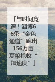 与时间竞速！淄博66条“金色通道”跑出156万亩夏粮抢收“加速度”