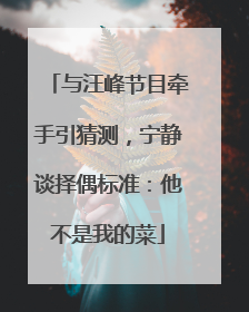 与汪峰节目牵手引猜测，宁静谈择偶标准：他不是我的菜