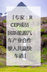 专家：RCEP成员国新能源汽车产业合作驶入共赢快车道