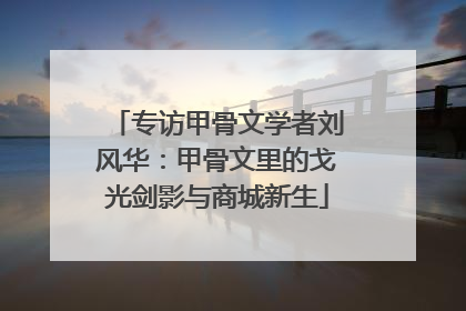 专访甲骨文学者刘风华：甲骨文里的戈光剑影与商城新生