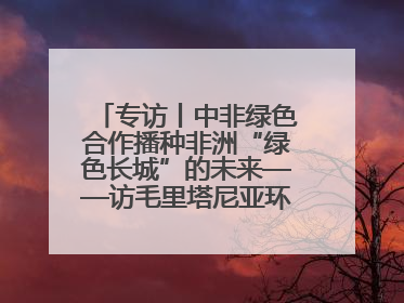 专访丨中非绿色合作播种非洲“绿色长城”的未来——访毛里塔尼亚环境部长拉格达夫