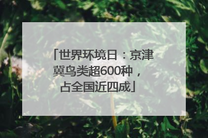 世界环境日：京津冀鸟类超600种，占全国近四成