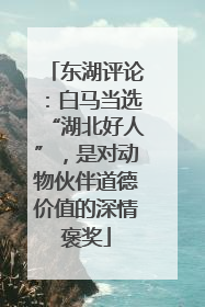 东湖评论：白马当选“湖北好人”，是对动物伙伴道德价值的深情褒奖