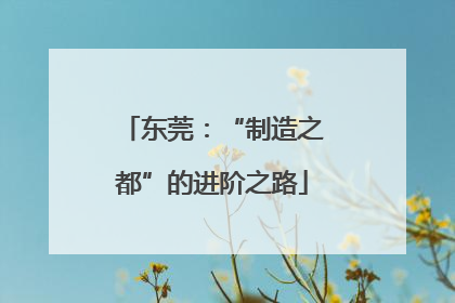 东莞：“制造之都”的进阶之路