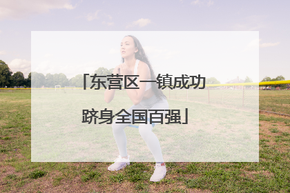 东营区一镇成功跻身全国百强