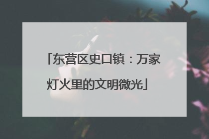 东营区史口镇：万家灯火里的文明微光