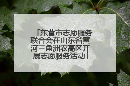 东营市志愿服务联合会在山东省黄河三角洲农高区开展志愿服务活动