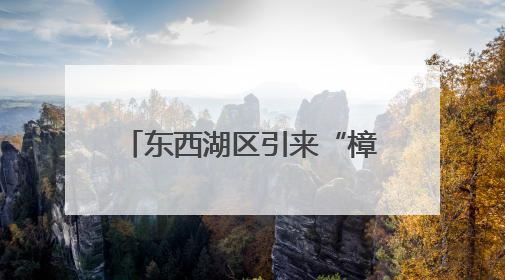 东西湖区引来“樟树港” 江夏区种下“襄辣王” 两颗辣椒的“对话”