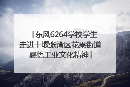 东风6264学校学生走进十堰张湾区花果街道感悟工业文化精神