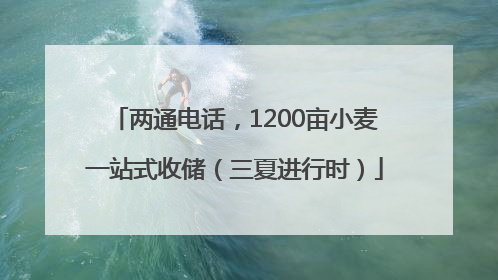 两通电话，1200亩小麦一站式收储（三夏进行时）