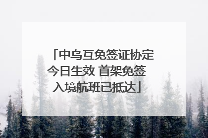 中乌互免签证协定今日生效 首架免签入境航班已抵达
