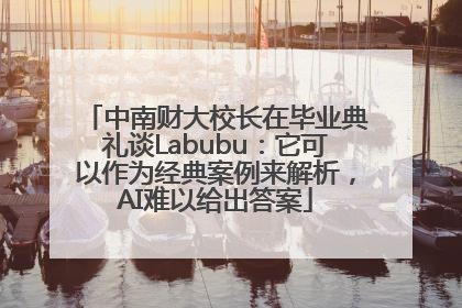 中南财大校长在毕业典礼谈Labubu：它可以作为经典案例来解析，AI难以给出答案