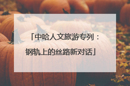 中哈人文旅游专列：钢轨上的丝路新对话
