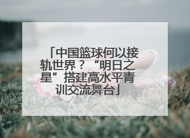中国篮球何以接轨世界？“明日之星”搭建高水平青训交流舞台