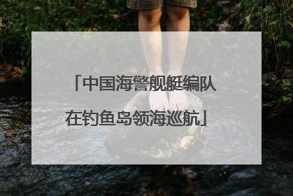 中国海警舰艇编队在钓鱼岛领海巡航
