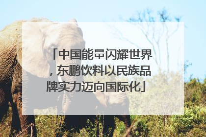 中国能量闪耀世界，东鹏饮料以民族品牌实力迈向国际化