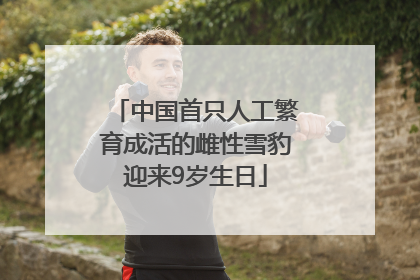 中国首只人工繁育成活的雌性雪豹迎来9岁生日