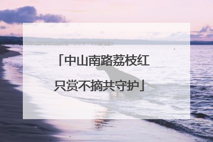 中山南路荔枝红 只赏不摘共守护