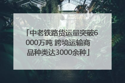 中老铁路货运量突破6000万吨 跨境运输商品种类达3000余种
