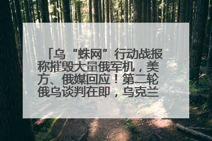 乌“蛛网”行动战报称摧毁大量俄军机，美方、俄媒回应！第二轮俄乌谈判在即，乌克兰提出三大诉求