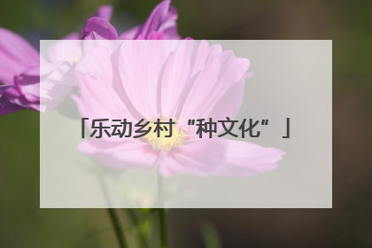 乐动乡村“种文化”