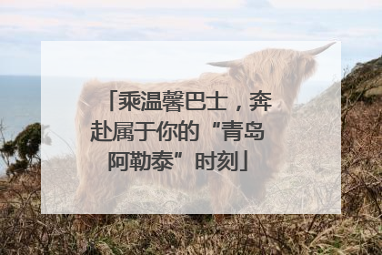 乘温馨巴士，奔赴属于你的“青岛阿勒泰”时刻