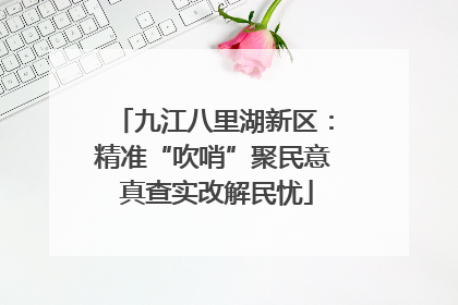 九江八里湖新区：精准“吹哨”聚民意 真查实改解民忧