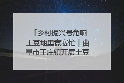 乡村振兴号角响 土豆地里竞赛忙｜曲阜市王庄镇开展土豆收获劳动竞赛