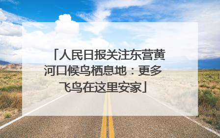人民日报关注东营黄河口候鸟栖息地：更多飞鸟在这里安家