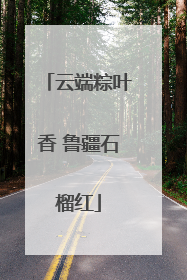 云端粽叶香 鲁疆石榴红