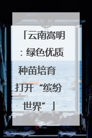 云南嵩明：绿色优质种苗培育 打开“缤纷世界”